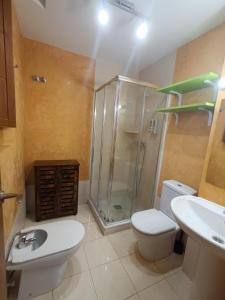 a bathroom with a shower and a toilet and a sink at Encanto. Céntrico tríplex cerca de la Corredera y casco antiguo. in Córdoba