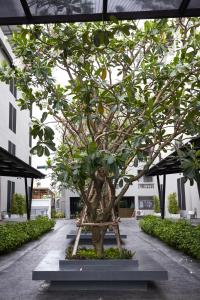 a bonsai tree on a stand in a courtyard at Almas Hotel Bangkok in Bangkok