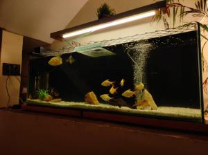 Φωτογραφία από το άλμπουμ του Anand Vihar σε Jamshedpur +2 φωτογραφίες