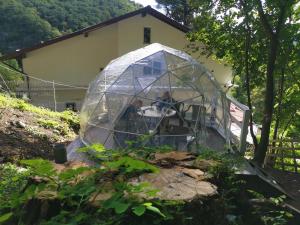 Zahrada ubytování Casa Aurora