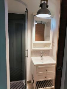 a bathroom with a shower and a sink and a mirror at Les castagnèdes in Céret