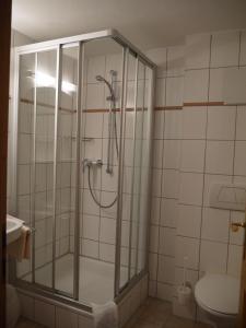 a shower stall in a bathroom with a toilet at Ferienhof Almfrieden in Balderschwang