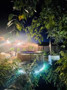 ブワディスワボボにあるDomki i Apartamenty Całoroczne Koliberの夜の庭園(噴水、照明付)