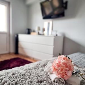 クラクフにあるFredry 15Fのベッドの上に座るピンクの花
