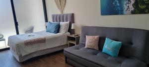 - une chambre avec un canapé et un lit avec des oreillers bleus dans l'établissement Cozy Studio with WiFi & Netflix, à Playa del Carmen