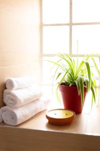 a plant sitting on a shelf next to a window with towels at RER C plus parking gratuit à 4 minutes à pieds in Versailles