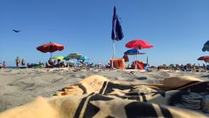 MareBlue Mobilhomes on Camping Mare e Pineta vendégei