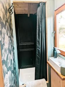 a bathroom with a shower and a sink at Stunning Shepherd's Hut Retreat North Devon in Bideford +23 photos