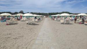 A beach at or near A kempinget