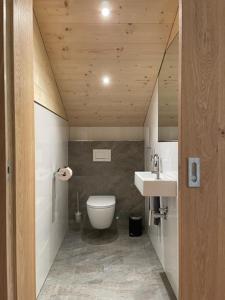 een kleine badkamer met een toilet en een wastafel bij Appartements Plattei in Sankt Gallenkirch
