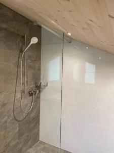 een douche met een glazen deur in de badkamer bij Appartements Zint in Sankt Gallenkirch