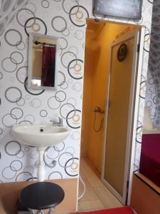 Tube Bromo Homestay في بروبولينغو: حمام مع حوض ومرآة