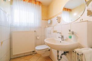 ein Badezimmer mit einem Waschbecken, einem WC und einem Spiegel in der Unterkunft Hotel Abenstal in Au in der Hallertau