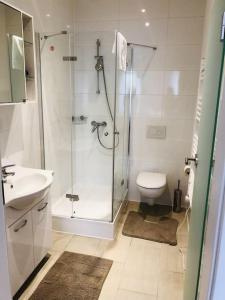 a bathroom with a shower and a toilet and a sink at Fewo Kuferzeile Gmunden seenähe in Gmunden +9 photos