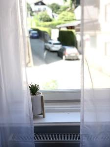 a window with a potted plant sitting on a window sill at Fewo Kuferzeile Gmunden seenähe in Gmunden