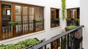 a row of windows on a building with potted plants at Veranera Hostel in Estepona