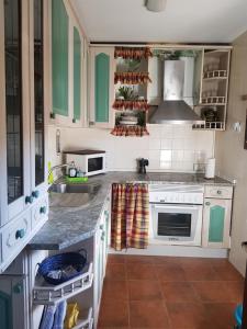 uma cozinha com armários verdes e um lavatório em La Artesonada casa con finca (Puebla de Sanabria). em Puebla de Sanabria
