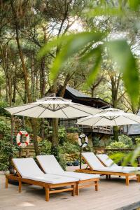Zahrada ubytování Amaya Retreat