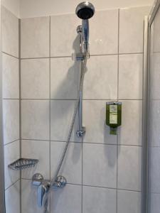a shower with a shower head in a bathroom at Room-24 - Zellwald in Großschirma