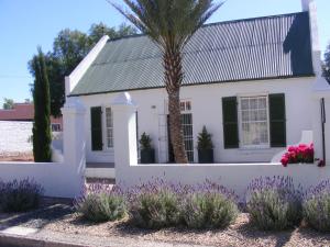 a white house with a palm tree and purple flowers at Pepper Tree Accommodation in Beaufort West