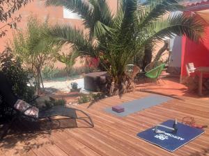 una terraza de madera con una palmera y esterillas de yoga en Casa VivaQi Tenerife, en Granadilla de Abona