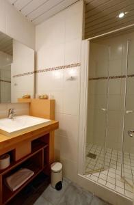 La salle de bains est pourvue d'un lavabo et d'une douche. dans l'établissement Hôtel Restaurant l'Hirondelle, à Dunkerque