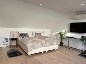 TV a/nebo společenská místnost v ubytování Lieblingsplatz Neusiedl Appartement - Erhol dich gut
