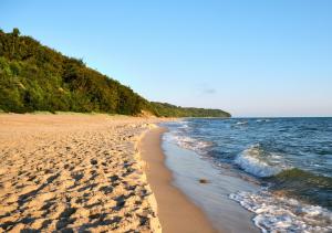 a beach with footprints in the sand and the ocean at Zacisze Morskie in Sarbinowo