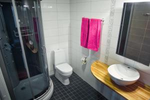 Koupelna v ubytování Salpalinjan Hovi + 37 fotografií