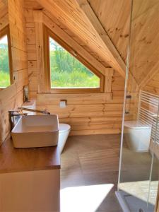 ein Bad mit einem Waschbecken, einem WC und einem Fenster in der Unterkunft Chata Green in Veľká Lomnica