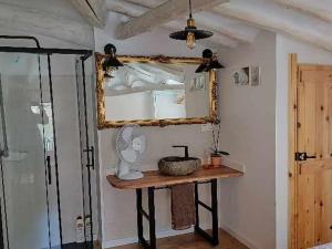 アルネディリョにあるEl Mirador del Rio de Arnedilloのテーブル、鏡、シャワーが備わる客室です。