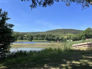 vistas a un lago con una valla de madera en Bungalow 02, en Sondershausen