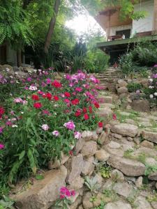 a garden with pink and red flowers and rocks at Casa de oaspeti adorabila aproape de natura in Sărata-Monteoru