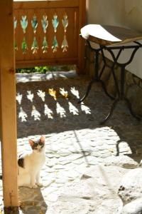 Domáce zviera alebo zvieratá hostí v ubytovaní Casa de oaspeti adorabila aproape de natura