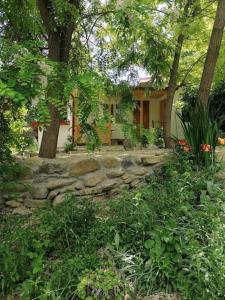 una casa con una pared de piedra frente a un patio en Casa de oaspeti adorabila aproape de natura, en Sărata-Monteoru