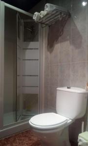 a bathroom with a toilet and a glass shower at LAS CALAÑAS DE SETENIL in Setenil