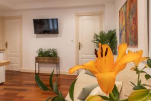 El Almirez في غرناطة: وردة صفراء وسط غرفة المعيشة