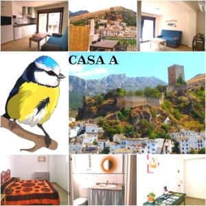 un collage de fotos con un pájaro amarillo y vistas en Casa Herrerillo Cazorla, en Cazorla