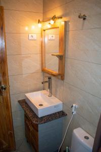 W łazience znajduje się umywalka, lustro i toaleta. w obiekcie Choice Guest House 2 w Addis Abebie