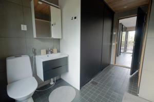 uma casa de banho com um WC e um lavatório em Norlight Cottages Ivalo - Tuli em Ivalo