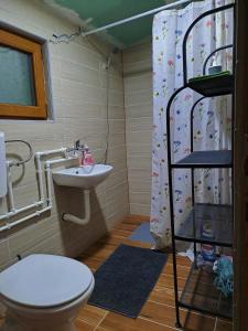 een badkamer met een toilet, een wastafel en een douche bij Brvnara u planini in Petrovac na Mlavi