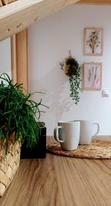 twee witte kopjes op een tafel met planten bij Tatra Apartament in Jurgów