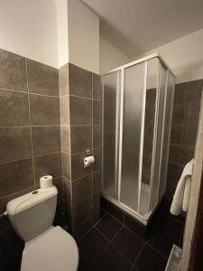 a bathroom with a toilet and a shower at Hotel Ennius in Klatovy