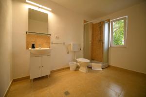 ein Bad mit einem WC, einem Waschbecken und einer Dusche in der Unterkunft Pensiunea HERA Hațeg in Haţeg