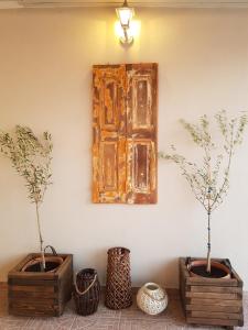 three potted trees in vases sitting next to a wall at Beach house in Skala Polichnitou, Lesvos, Greece in Lisvórion