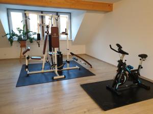 einen Fitnessraum mit Fahrrädern und Trainingsgeräten in einem Zimmer in der Unterkunft Neue Mühle Kleines Landhotel in Brandenburg an der Havel