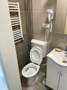 uma pequena casa de banho com WC e lavatório em Vila Una Fruška gora em Novi Sad