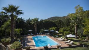 una piscina con tumbonas y palmeras en Villa Tresino Appartamenti, en Castellabate