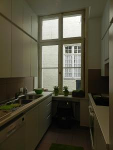 une cuisine avec un évier et une fenêtre dans l'établissement Apartment St-Anna, à Bruges