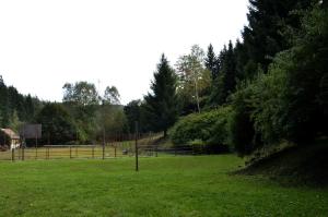 a field of green grass with a fence and trees at Penzion Svojanov in Svojanov